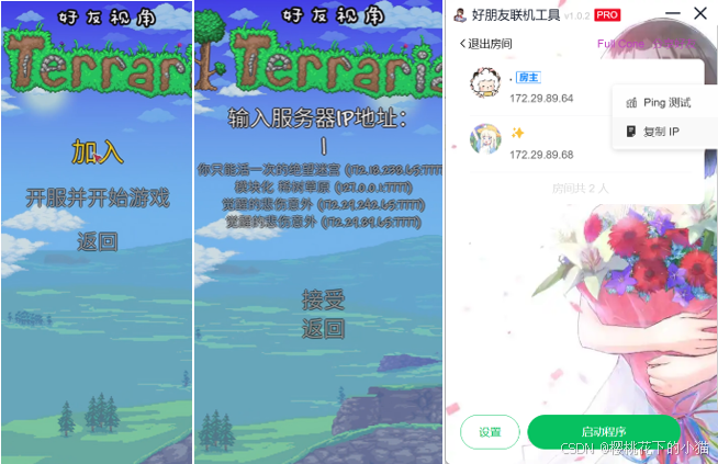 输入房主 IP