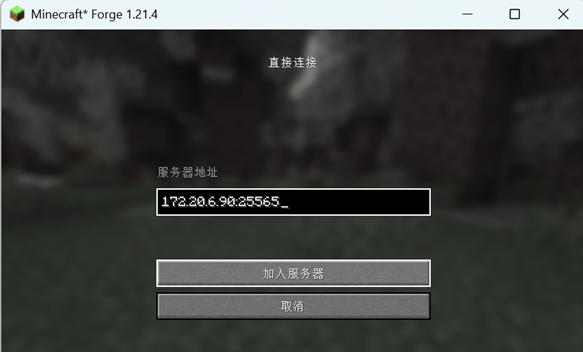 自定义端口连接