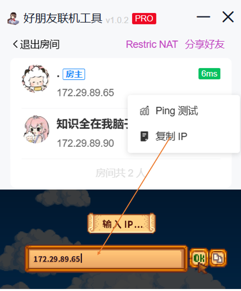 复制房主 IP