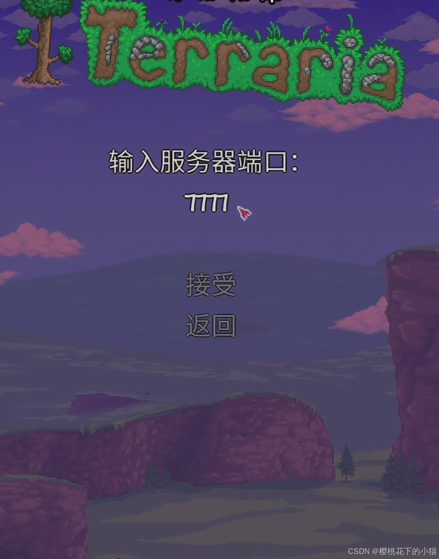 输入端口